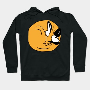 Sleeping Fox Hoodie